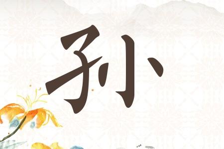 孫姓龍寶寶取名字大全