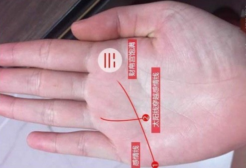 無名指下面的豎線代表什么