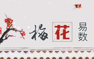 梅花易數(shù)解卦對照表