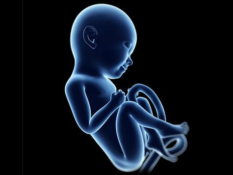 夢(mèng)見胎兒是什么意思周公解夢(mèng)