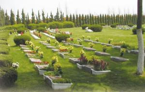 夢見親人死了去火葬場什么意思