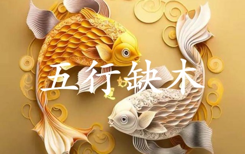 五行缺木九紫離火運(yùn)好不好?