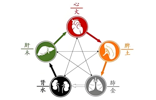 五行內(nèi)臟對(duì)照表，五行內(nèi)臟對(duì)應(yīng)關(guān)系！