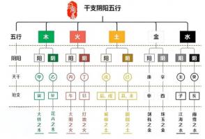 十天干十二地支陰陽五行屬性