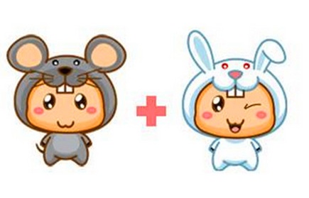 屬鼠和屬兔的合不合