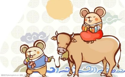 屬鼠和屬牛的合不合 屬鼠和屬牛的合不合