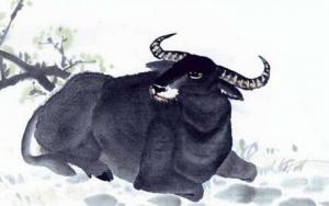 屬牛人的性格和優(yōu)缺點