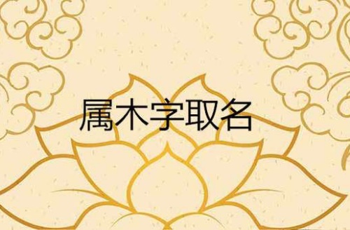 五行屬木的字有哪些