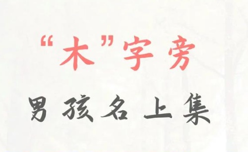 帶木字旁的字男孩名字 帶木字旁的字男孩名字