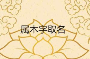 五行屬木的字有哪些