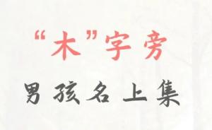 帶木字旁的字男孩名字