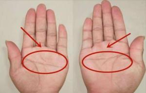 斷掌紋的男人克妻子嗎