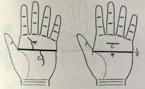 斷掌紋的女人克夫克子嗎