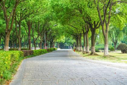 大林木命和爐中火命相配嗎