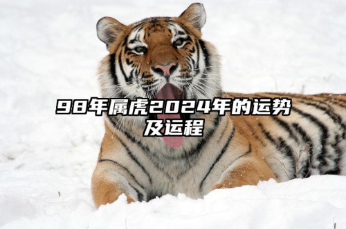 98年屬虎2024年運(yùn)勢(shì)及運(yùn)程