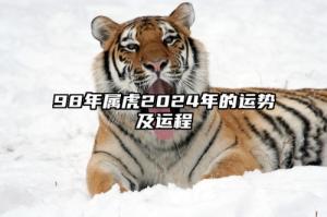 98年屬虎2024年運勢及運程