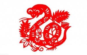 幾月蛇出生最好最有福氣 