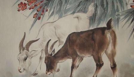 未時是屬于什么生肖