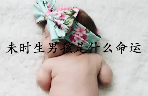 未時生男孩是什么命運