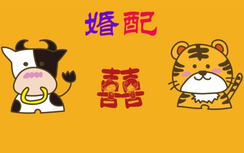 屬牛的和屬虎的相配嗎
