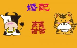 屬牛的和屬虎的婚姻相配嗎