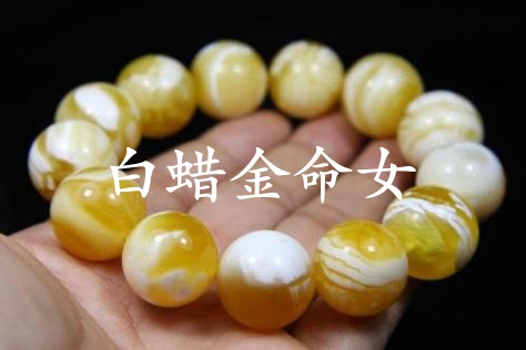 白蠟金命女的最佳配偶