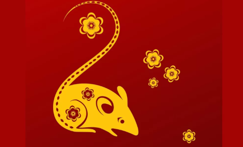 屬鼠人多少歲才走好運