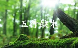 五行缺木的人婚姻怎么樣？