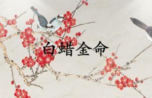 白蠟金命配澗下水命合適嗎