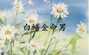 白蠟金命男和什么命最配合