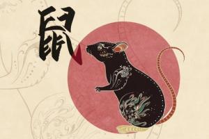 屬鼠人做什么讓另一半最感動(dòng)