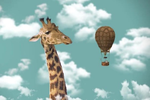 偏財(cái)格男命的最佳配偶