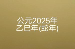 2025年是什么年