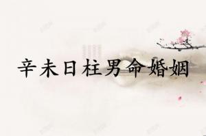 辛未日柱男命婚姻詳解