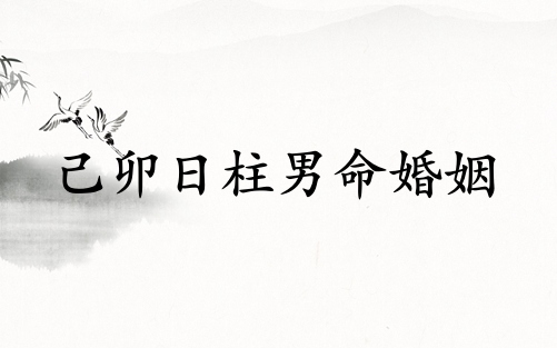 己卯日柱男命婚姻怎么樣