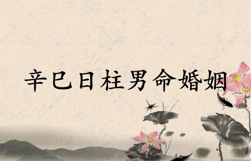 辛巳日柱男命婚姻運(yùn)勢(shì)詳解