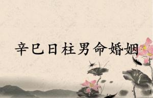 辛巳日柱男命婚姻運勢詳解