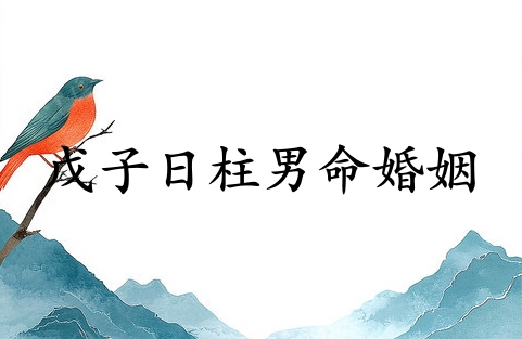 戊子日柱男命婚姻怎么樣