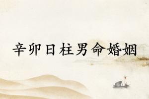 辛卯日柱男命婚姻詳解