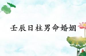 壬辰日柱男命婚姻詳解