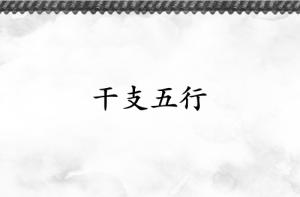 天干五行和地支五行有什么區(qū)別