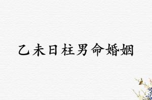 乙未日柱男命婚姻運勢解析