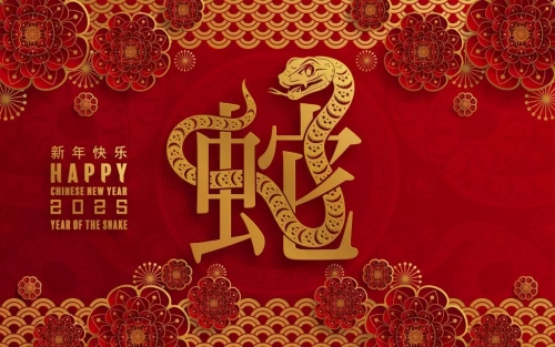 2025年屬蛇的本命年為什么不能穿紅