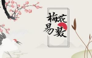 梅花易數(shù)最厲害三個(gè)公式