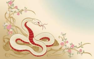 2025年屬蛇36歲開始走大運(yùn)