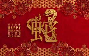 2025年屬蛇的本命年為什么不能穿紅