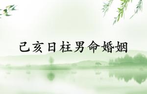 己亥日柱男命婚姻詳解
