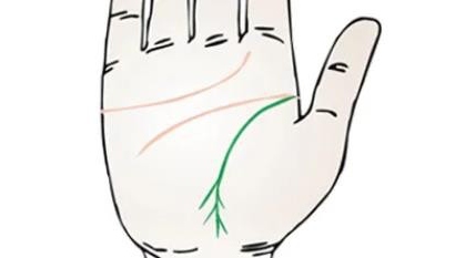 生命線末端分叉是什么意思