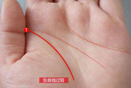 生命線只有一半能活多少歲