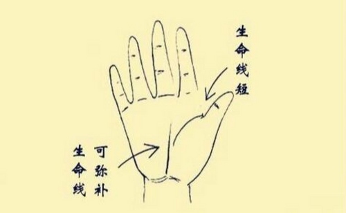 生命線怎么看壽命長短